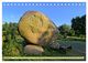 Thumbnail-10