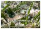 Thumbnail-12