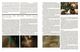 Thumbnail-10