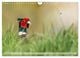 Thumbnail-7