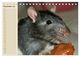 Thumbnail-14