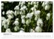 Thumbnail-14