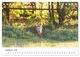 Thumbnail-14