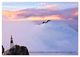 Thumbnail-8