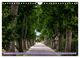 Thumbnail-11