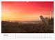 Thumbnail-8