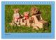 Thumbnail-13