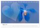 Thumbnail-13