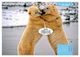 Thumbnail-11