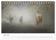 Thumbnail-12