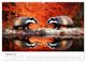 Thumbnail-12