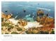 Thumbnail-11