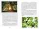 Thumbnail-8