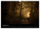 Thumbnail-14