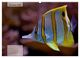 Thumbnail-12