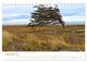 Thumbnail-14