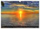 Thumbnail-9