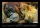Thumbnail-11