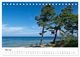 Thumbnail-10