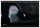 Thumbnail-13