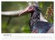 Thumbnail-13