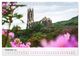 Thumbnail-14