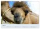 Thumbnail-12