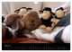 Thumbnail-12