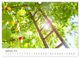 Thumbnail-14