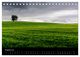 Thumbnail-10