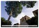 Thumbnail-11