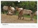 Thumbnail-14