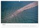 Thumbnail-12