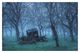 Thumbnail-8