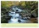 Thumbnail-10
