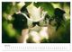 Thumbnail-11