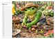 Thumbnail-8