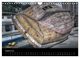 Thumbnail-10