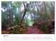 Thumbnail-12
