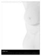 Thumbnail-12