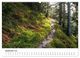 Thumbnail-10