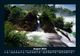 Thumbnail-12