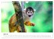 Thumbnail-9