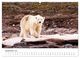 Thumbnail-11