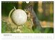 Thumbnail-11