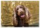 Thumbnail-9