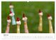 Thumbnail-9