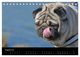 Thumbnail-13