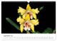 Thumbnail-14