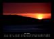Thumbnail-10